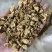 秦艽家种秦艽统段供应各种中药材过筛货
