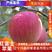 辽南精品红富士苹果（产地直发）基地直供全红一手货源一件代