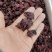 花茶洛神花玫瑰茄花茶干货一公斤起批