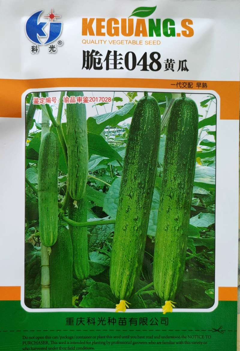 脆佳048黄瓜早熟结瓜能力强畸形瓜少瓜条无苦味黄瓜种子