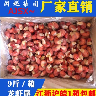 特级龙虾尾9斤，南京现货，新日期，价格便宜