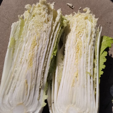 大白菜