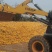 鲜玉米棒山东省玉米棒山东玉米棒新鲜玉米棒红轴玉米棒