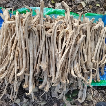 东北萝卜干自然晾晒高干度酱菜专用大批量货源