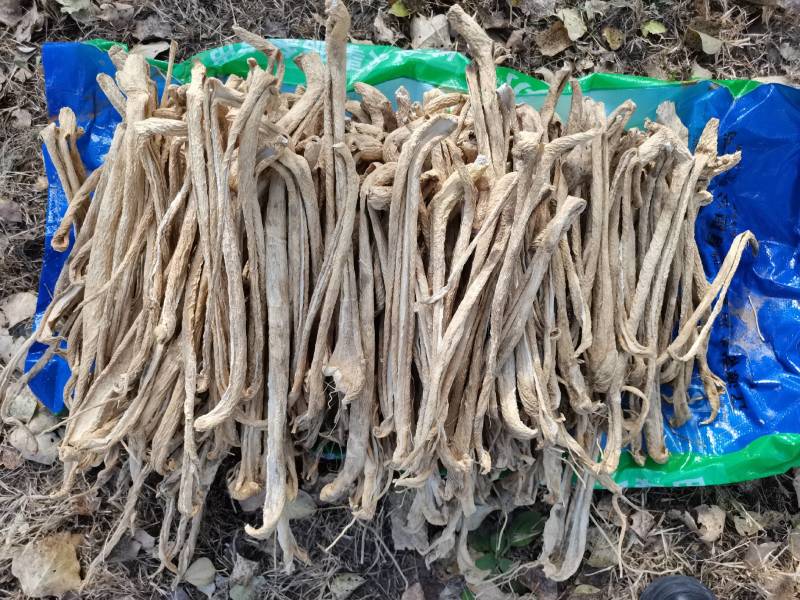 东北萝卜干自然晾晒高干度酱菜专用大批量货源