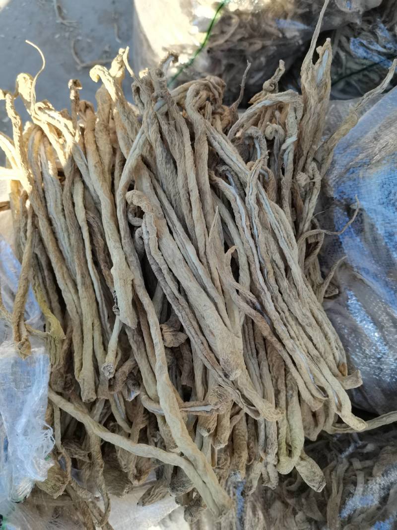 东北萝卜干自然晾晒高干度酱菜专用大批量货源