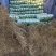 精品黄心矮颗大白菜,万亩蔬菜产区,大量供应全国