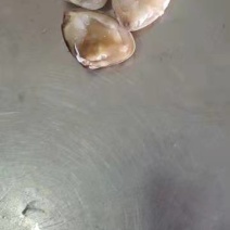 黄蚬子