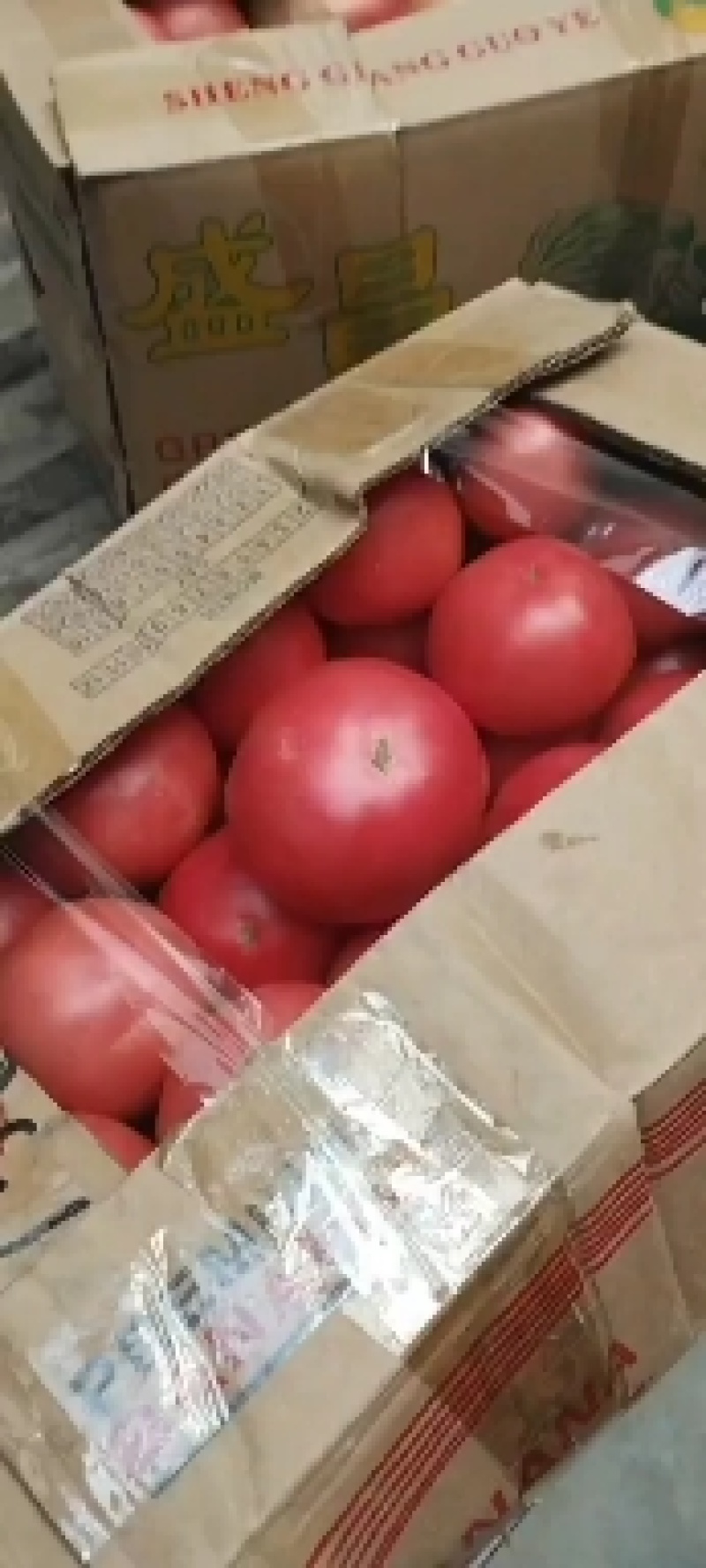 西红柿
