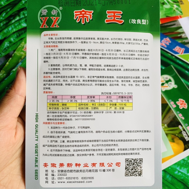 高抗病耐运输甜椒种子大果味甜质优，青绿色甜椒种籽