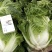 河南通许大白菜品种全，代收代储欢迎收购通许县蔬菜基地