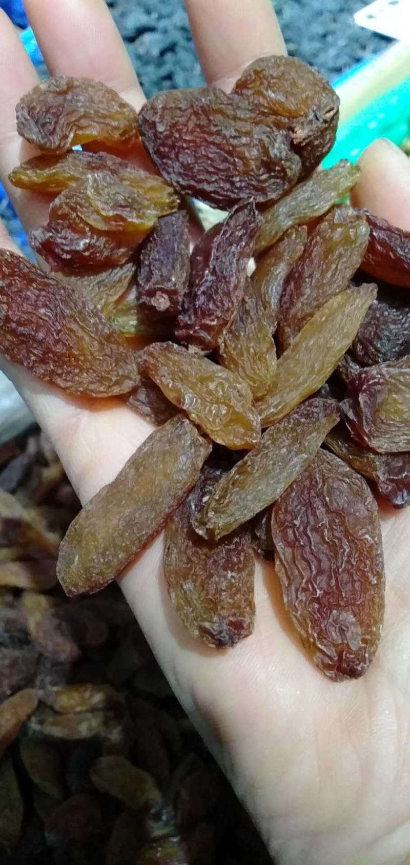 精品绿香妃，产地直供，可供商超，电商批发零售。