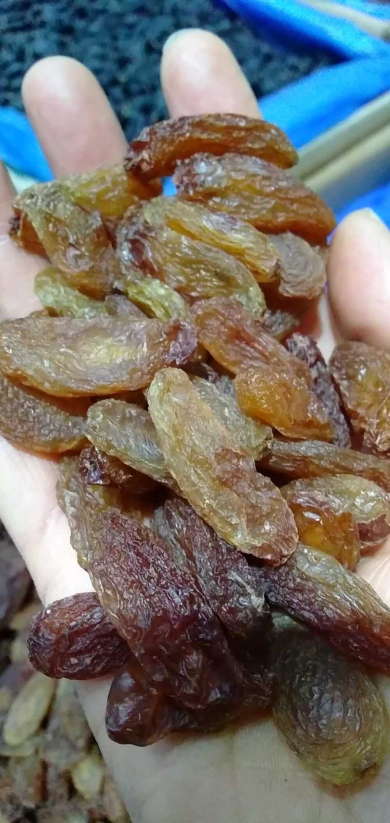 精品绿香妃，产地直供，可供商超，电商批发零售。