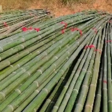 优质菜架批发