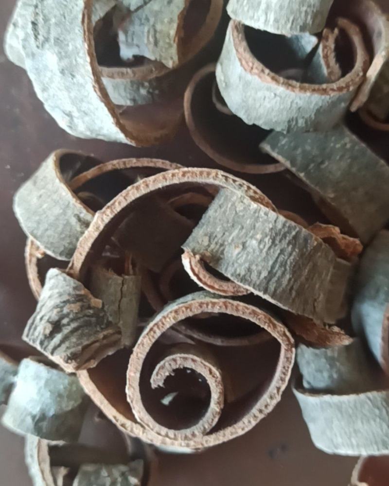 厚朴川厚朴中药材批发厚朴量大从优质量保证