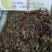 回心草～新货干净～产地现货～量大优惠～1公斤起售～