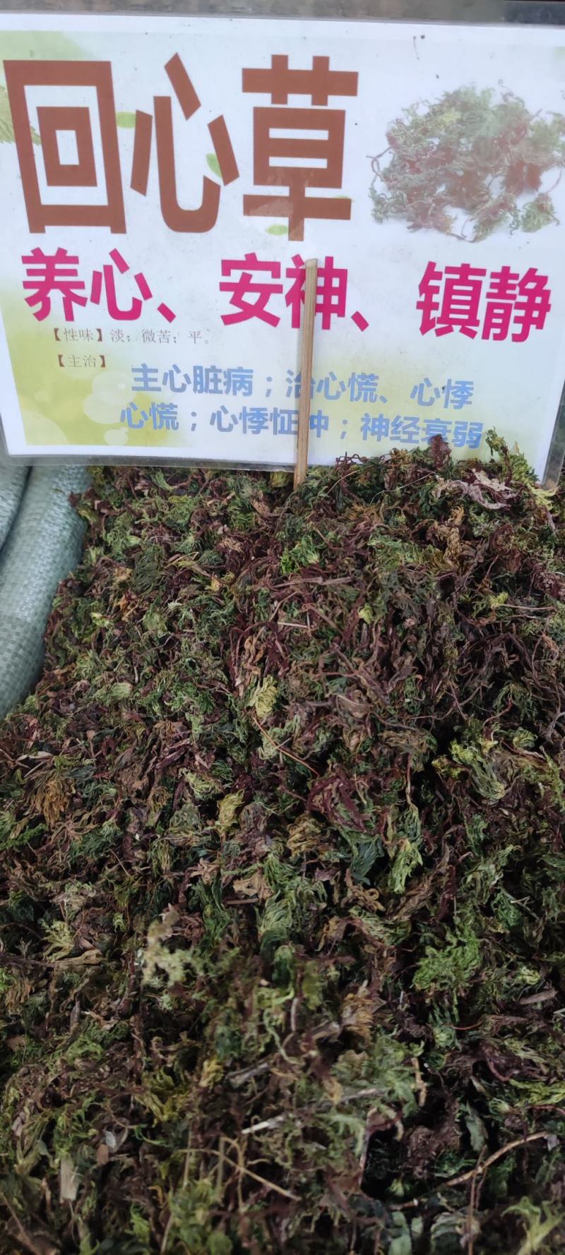 回心草～新货干净～产地现货～量大优惠～1公斤起售～