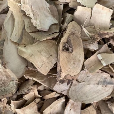 毛冬青根【包邮】三斤起发货可批量可零售量大从优