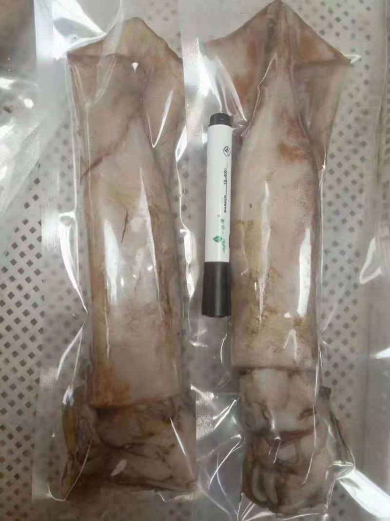 鱿鱼