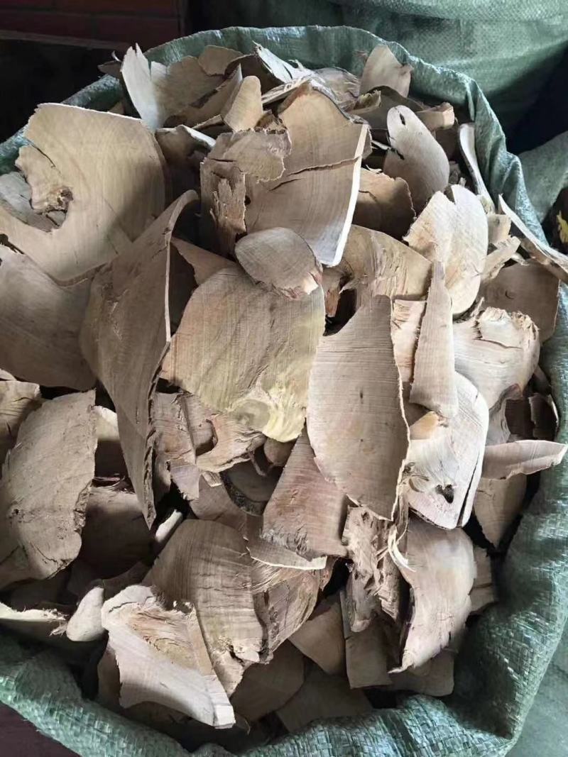 毛冬青根【包邮】三斤起发货可批量可零售量大从优