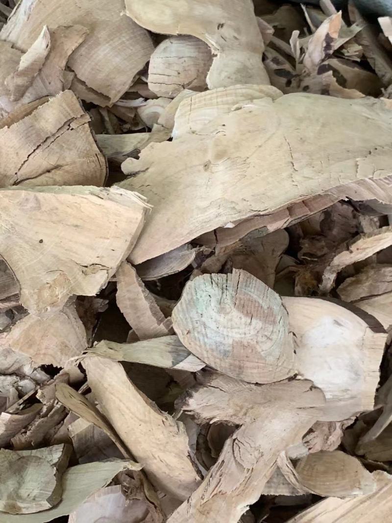 毛冬青根【包邮】三斤起发货可批量可零售量大从优