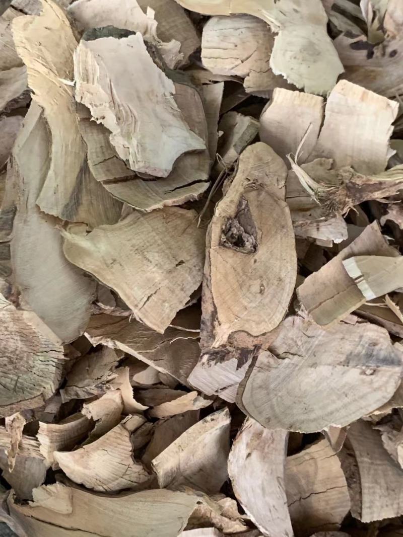 毛冬青根【包邮】三斤起发货可批量可零售量大从优