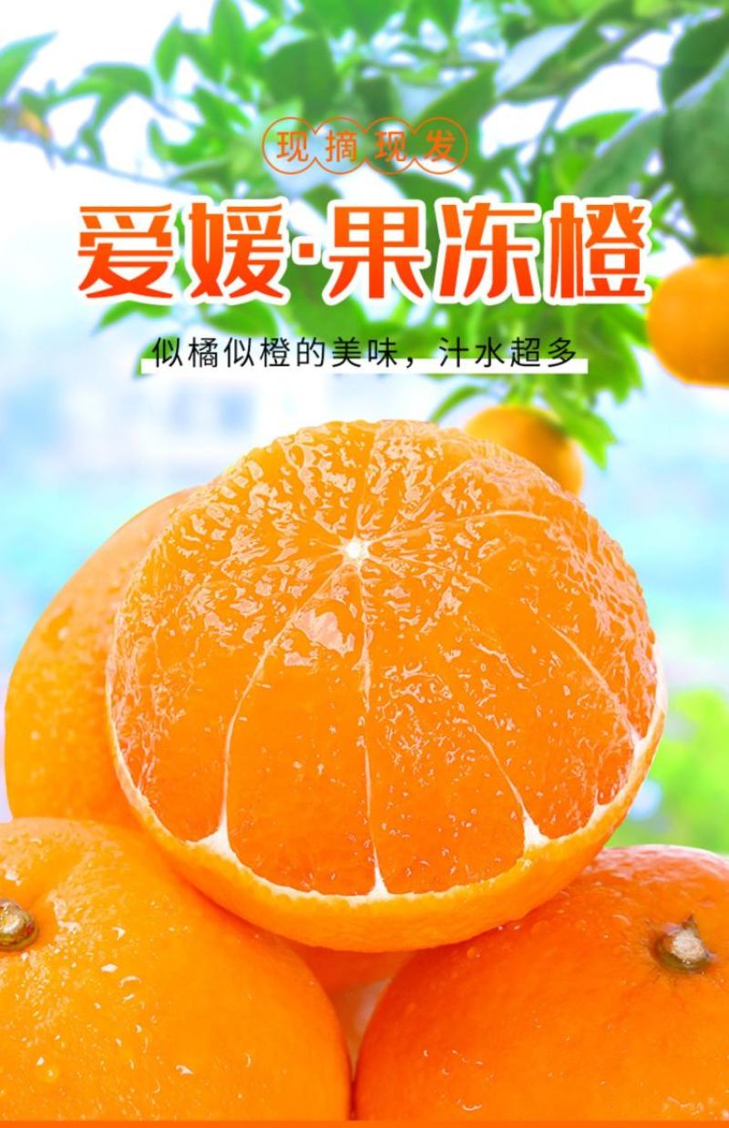 四川爱媛38号果冻橙9斤装橙子新鲜当季水果