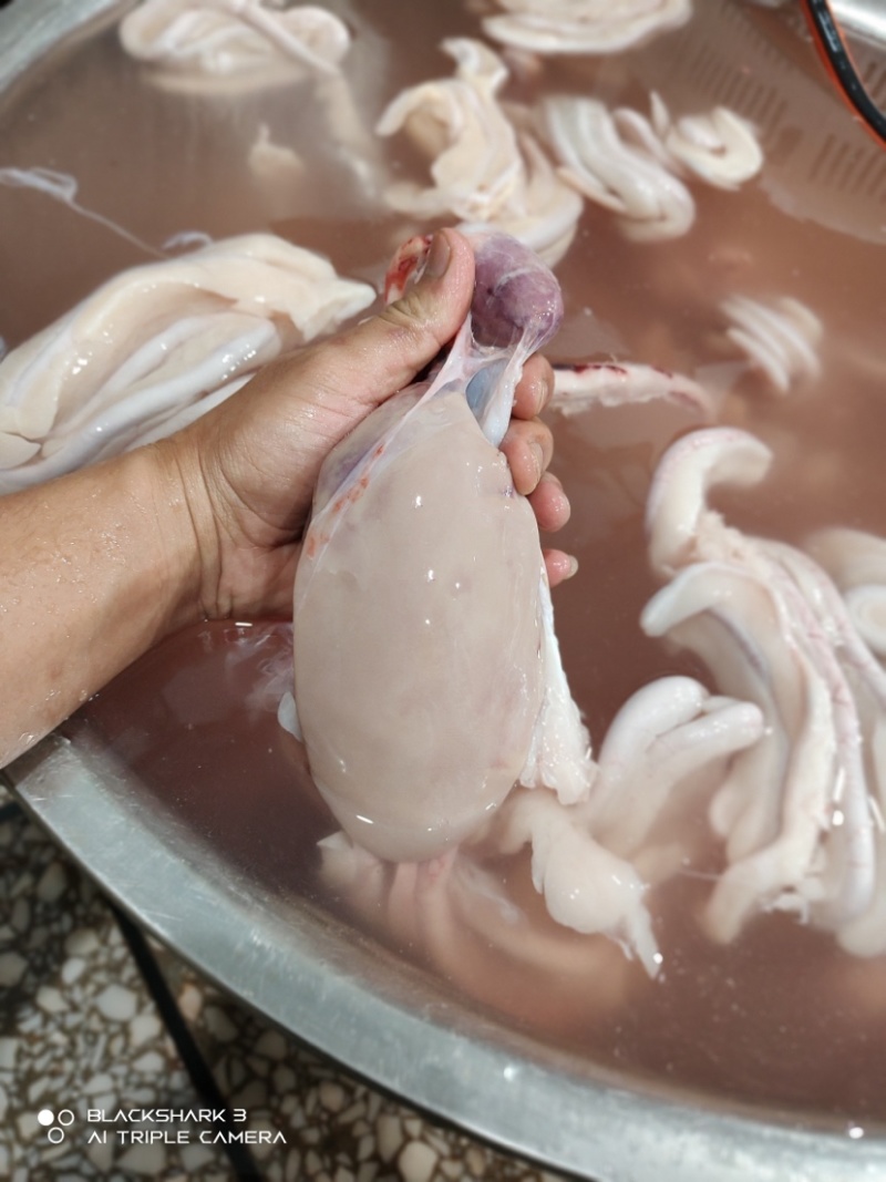 鹅翅鹅掌鹅粉肝鹅珍