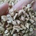 白鲜皮，正品野生水洗白鲜皮质量保证，欢迎咨询选购！