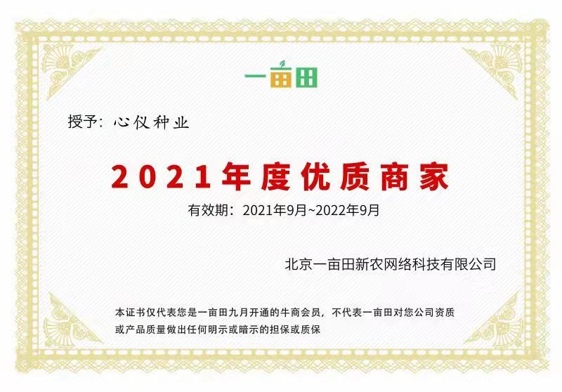 饲用燕麦种子边锋牧草籽高产饲料作物耐寒好产量高