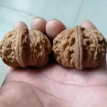 文玩核桃