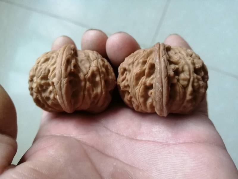 文玩核桃