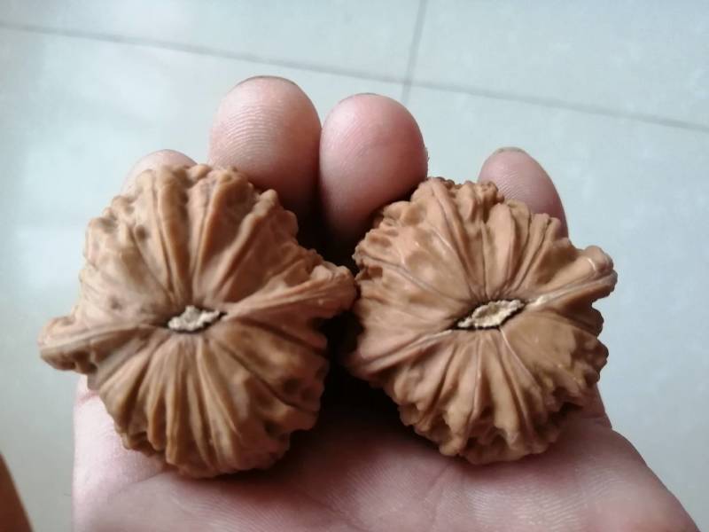 文玩核桃