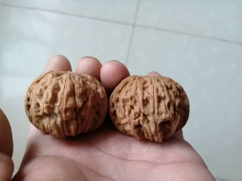文玩核桃
