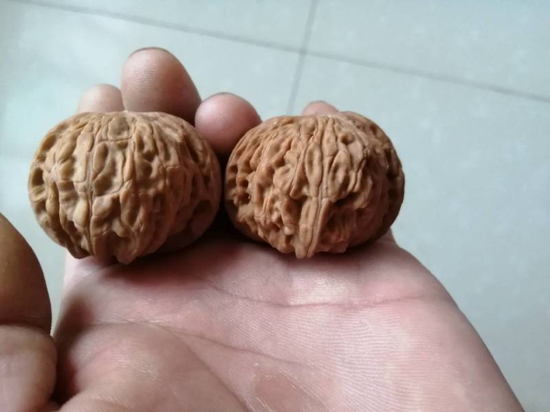 文玩核桃