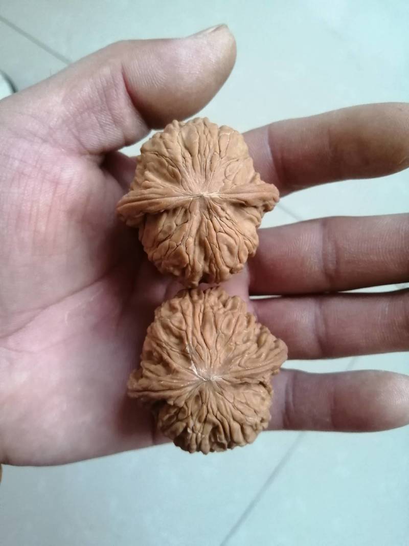 文玩核桃