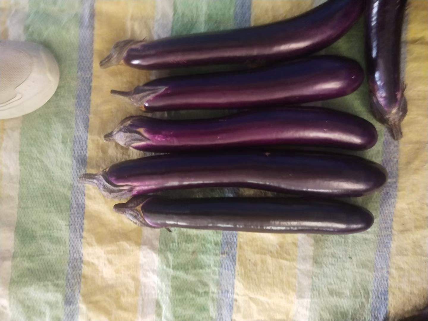 紫色长茄子特写