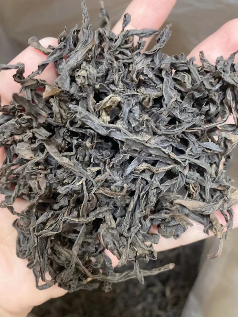 武夷山大红袍正山小种