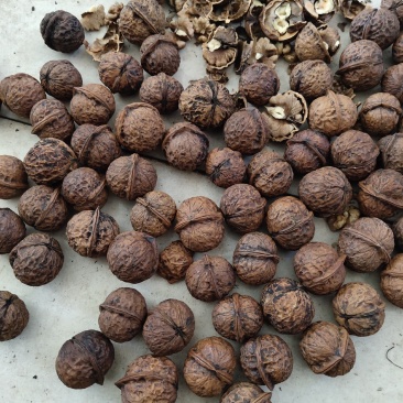 漾濞县大泡核桃甜菠萝果4..8一斤
