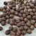 漾濞县大泡核桃甜菠萝果4..8一斤