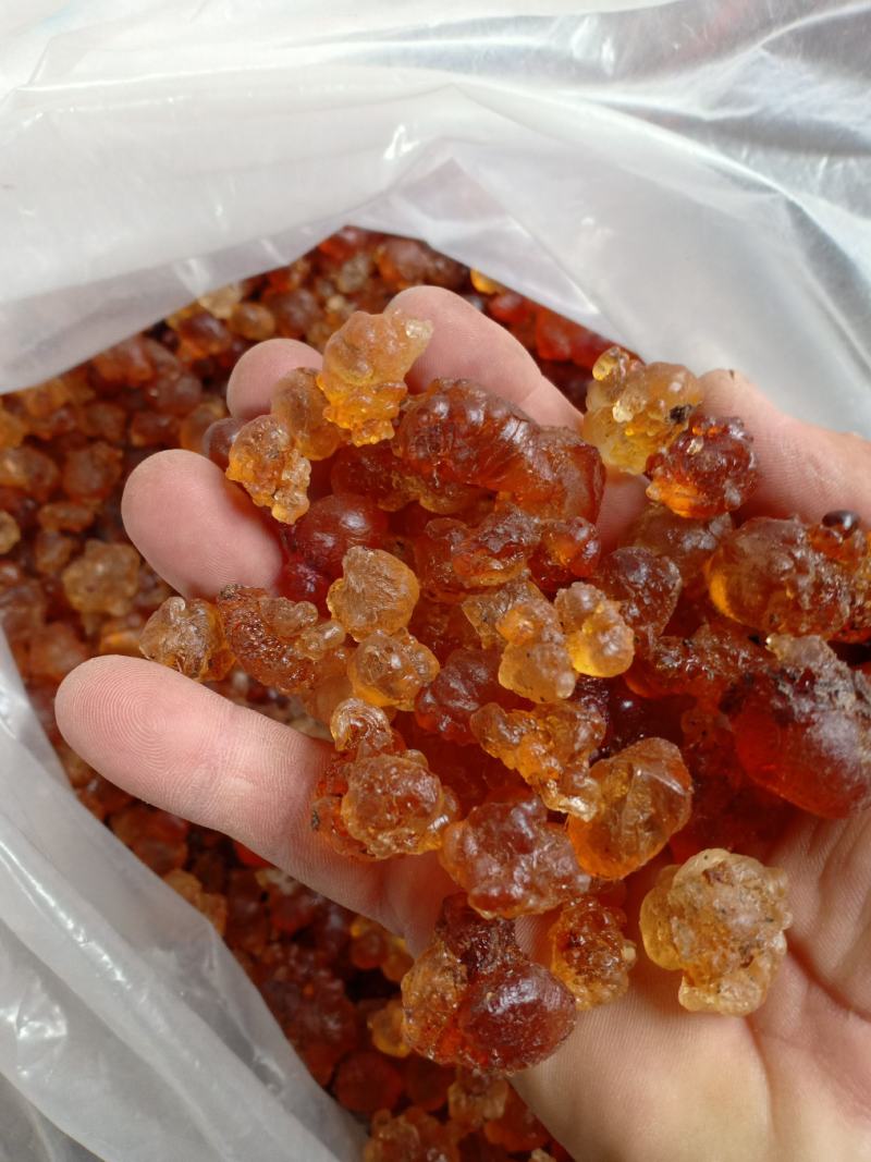 桃胶，沂蒙山区里的优质野生桃胶，产地直供