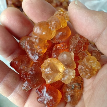 桃胶，沂蒙山区里的优质野生桃胶，产地直供