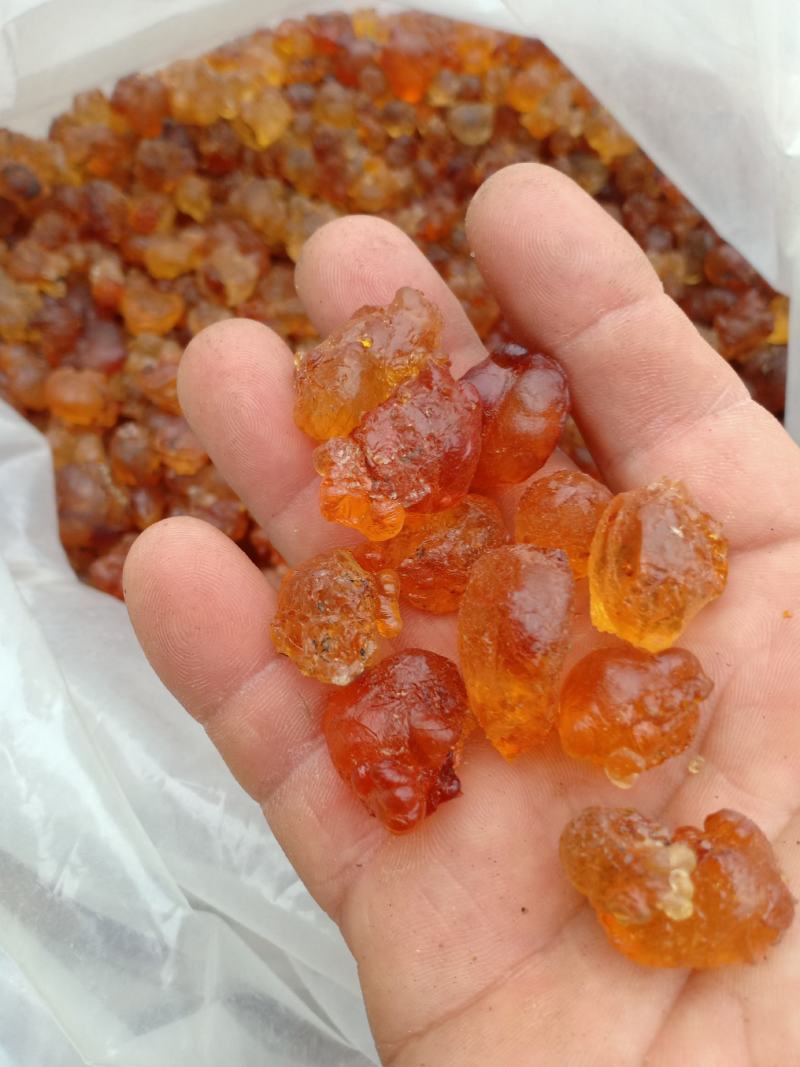 桃胶，沂蒙山区里的优质野生桃胶，产地直供