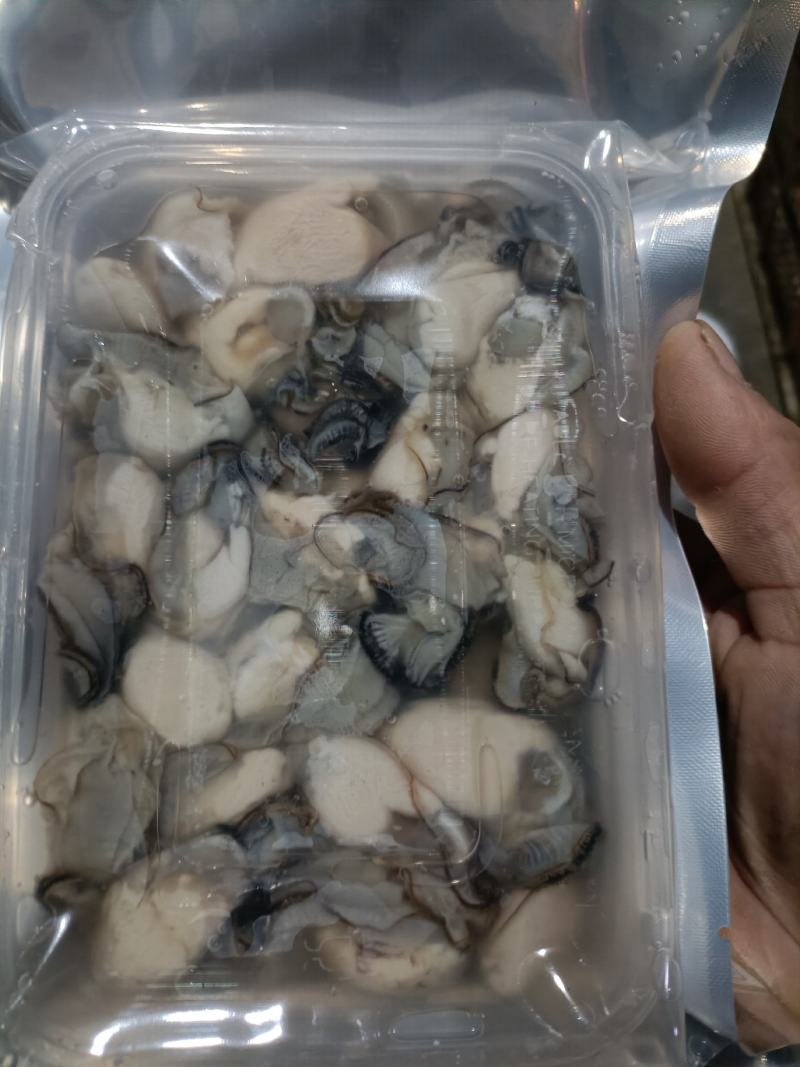 现剥生蚝肉海蛎特肥生蚝牡蛎肉批发海鲜海产品