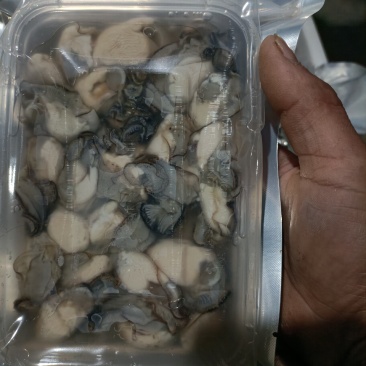 现剥生蚝肉海蛎特肥生蚝牡蛎肉批发海鲜海产品