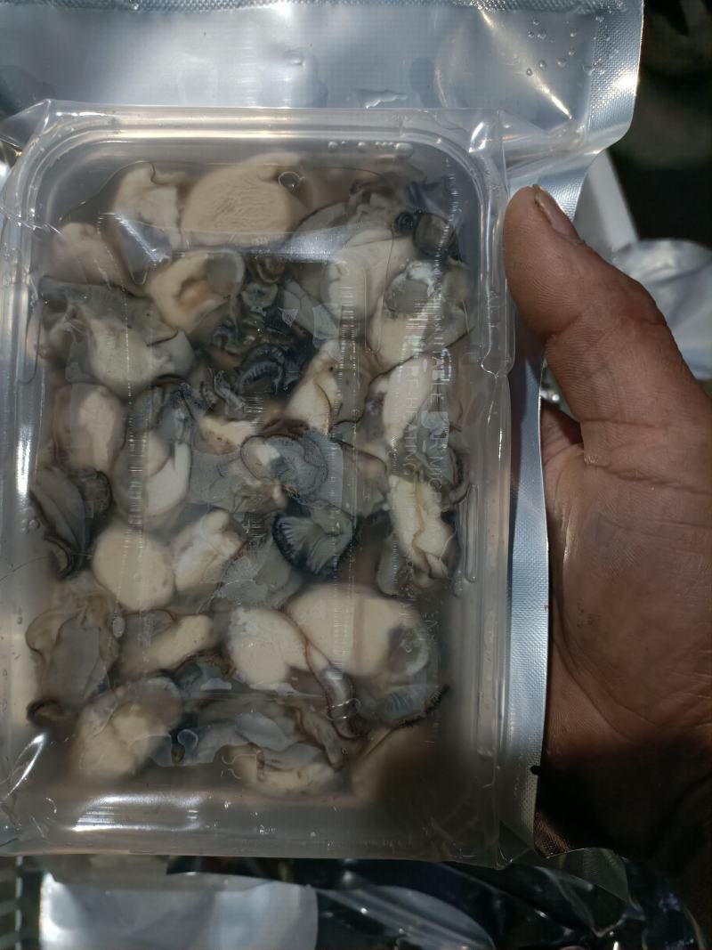 现剥生蚝肉海蛎特肥生蚝牡蛎肉批发海鲜海产品