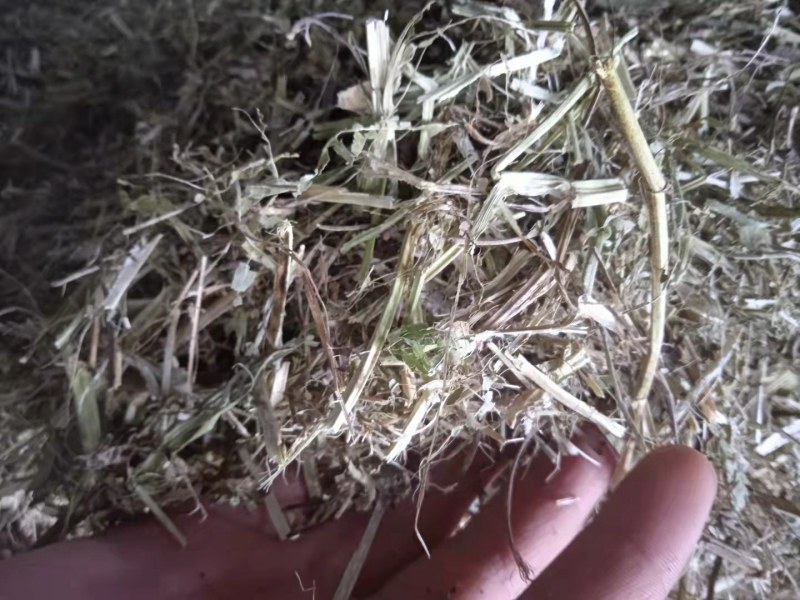 花生秸秆花生秧牛羊兔