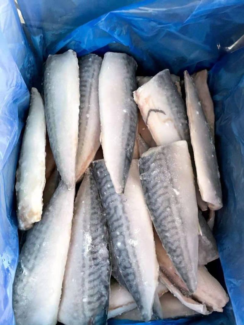 鲅鱼段食堂开片可定做整件整条加工400-500整条1