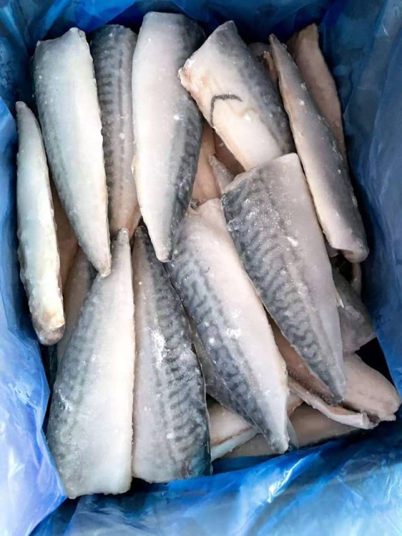 鲅鱼段食堂开片可定做整件整条加工400-500整条1