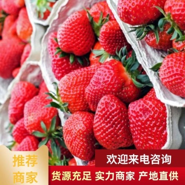 美团多多电商供徐州草莓宁玉甜查理妙香草莓草莓代收